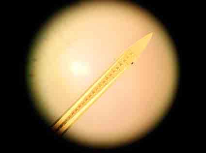 ábra), a kontaktusok közötti távolság 100 µm. Az elektród hegyéhez legközelebbi kontaktus 660 µm-re van a hegytől.