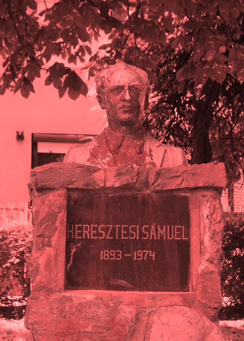 feluri de oameni: unul priveşte tabloul iar celălalt îl vede. Dintre ucenicii lui s-au remarcat Petkes József, Szommer János, Venig László şi Potroviţă Ioan.