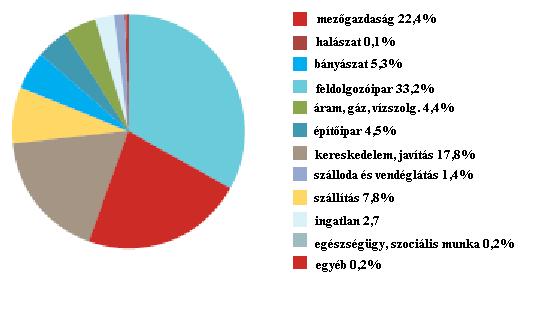 2. ábra Gazdasági tevékenységek szerkezete a Vajdaságban, 2004, versenyszféra Forrás: Vojvodina in brief, Voivodina-CESS, www.vojvodina-cess.