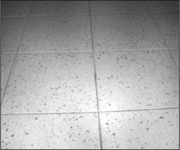 7/1 2 Új OTÉK 300/300/8 mm-es gres lapburkolat nézete tő-üzemeltetővel lefolytatott egyeztetések szolgáltak. A szerződéshez csatolt tételes kétoszlopos költségvetési kiírás 42.