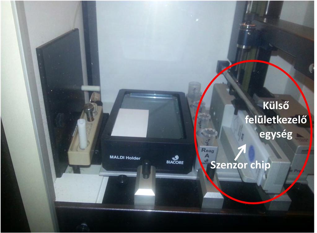mértékben le nem disszociált, majd a mintaadagoló tűvel visszanyert ~2 l térfogatú mintát a készülék közvetlenül nitrocellulóz membránra cseppentette, amelyet dot blot technikával elemeztünk.