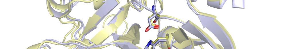 Az amino- és karboxi-terminális doméneket összekötı peptidszakaszt elhasítva a tripszinogén felgombolyodása sikeresen megtörténik in vitro körülmények között (Duda és Light, 1982; Higaki és Light,