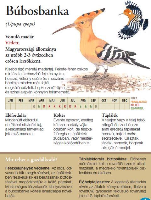 Terepi madárhatározó gazdálkodóknak - eredmény 42 mezőgazdasági élőhelyhez kötődő madárfaj leírása Hasonló fajok bemutatása Képi illusztrációk fajonként (grafika, fényképek)