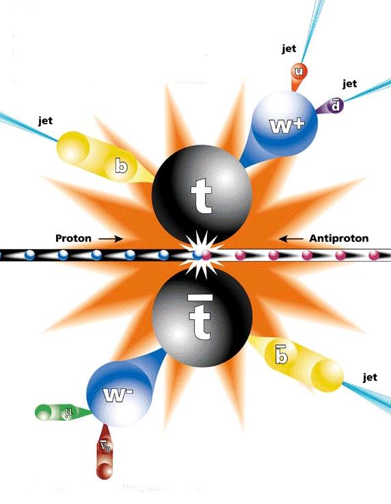 A TOP KVARK FELFEDEZÉSE Tevatron proton-antiproton ütköztető CDF and D0 kísérletei (Fermilab,