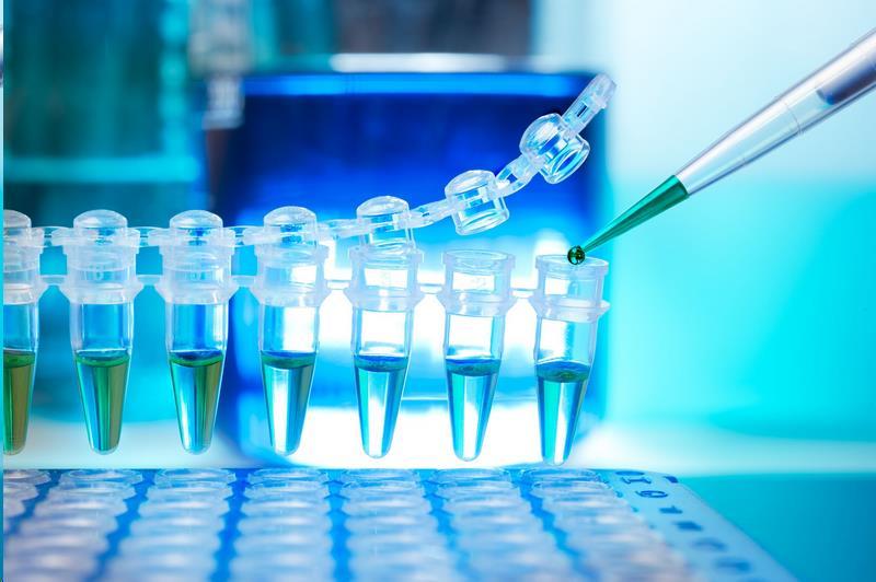 Már csőben vannak új készítmények A bioszimiláris gyógyszerek piaca gyorsan növekszik, 2020-ra 25-35 milliárd dolláros lehet a globális piac Teriparatide (csontritkulás) és Pegfilgrastim (onkológia)