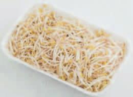 Mogyi pörkölt sós vagy sótlan napraforgó, 60 g/zacskó 5 zacskó után 46,46 59,- 983,33 Mogyi pörkölt, sós