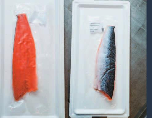 500 g 1699,- 2157,70 12 946,40 Gyorsfagyasztott nílusi sügér filé 200-400 g 6 /karton 15 200 400 g 1699,- 2157,70 12 946,40 ab.