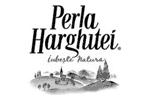A sors úgy hozta, hogy első útjuk a Vásártér felé vezetett.