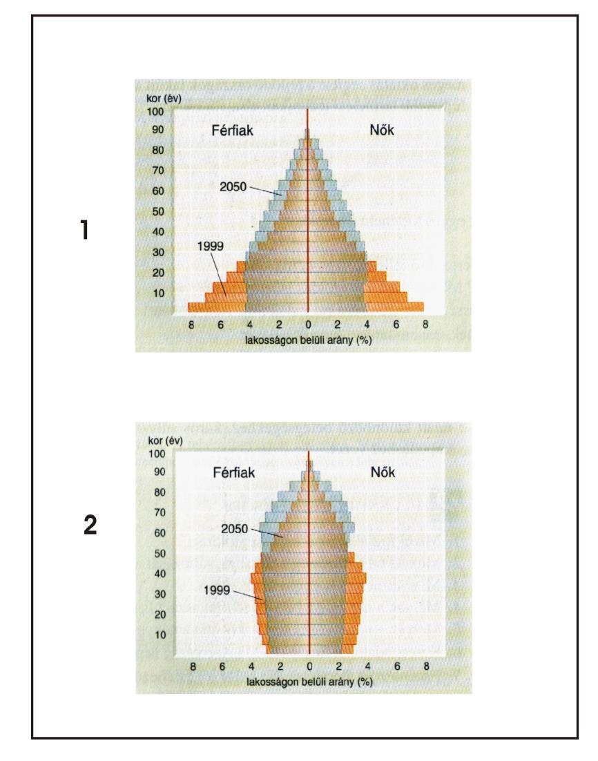 A korfa fogalma Piramis alakú korfa: a növekvő népesség korfája itt széles az alap, ami fölfelé gyorsan keskenyedik, hisz sok a fiatal és magas a halandóság (alacsony a születéskor várható átlagos