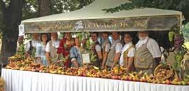 eu www.fvsz.eu Hegykő Község Önkormányzata Marchininé Hanzséros Zsuzsanna rendezveny@hegyko.hu www.hegyko.hu Sopron MJV Polgármesteri Hivatal +36 99 515 100 www.sopron.hu 20.