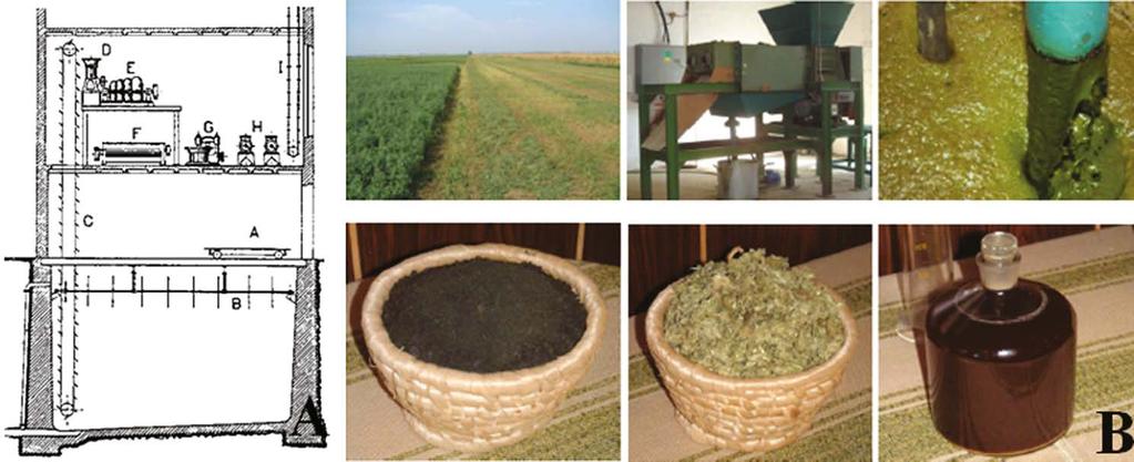 7.8. Agrárinnovációs prioritások a biogenerációs növények és a biofinomítók korában szintet.