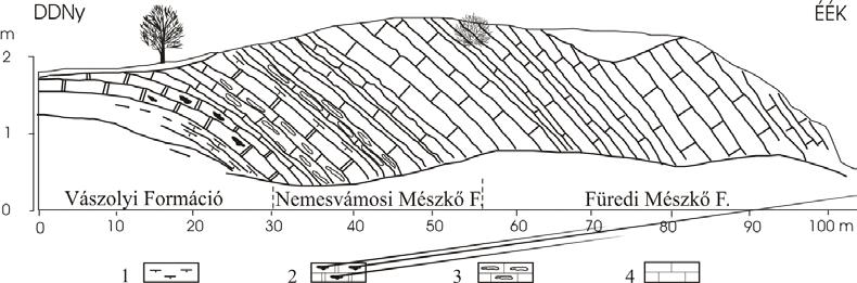 Csillag: Földtani természetvédelmi értékelés 107 let hidrogeológiai jellegzetességét, az ebben a szintben fakadó forrásokat. 19.