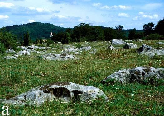 kicsapódó kovás oldatok hozták létre (THIRY et al. 1988, THIRY, MARÉCHAL 2001). Annak, hogy helyenként csak tömbök (Salföld, Kővágóörs, stb.