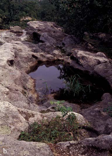 ábra. A Kelemenkő sziklafelszíne (a), nagy méretű madáritóval (b), valamint a szélcsiszolta felszín elmetszett