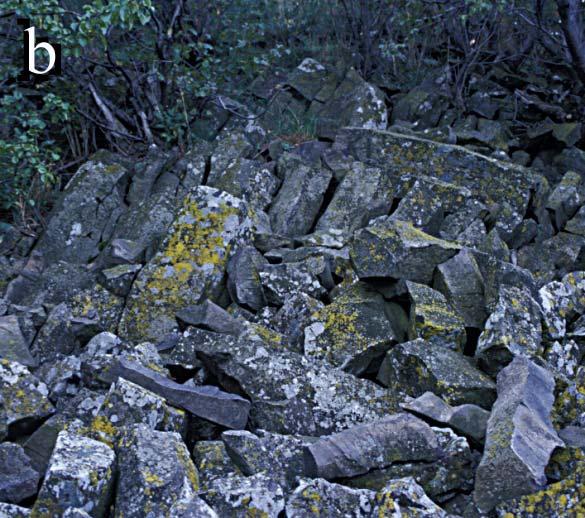 Kialakulásuk a sziklafalakat alkotó bazalt fagyaprózódásával magyarázható. A lejtő meredekségét a gravitáció hatására mozgó törmelék súrlódási együtthatója, mérete, alakja határozta meg.
