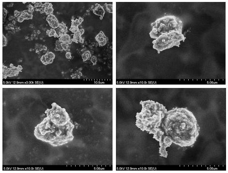 hematit (Fe 2 O 3 ), ezen kívül tartalmazhat böhmitet (AlO(OH)), gibbsitet (Al(OH) 3 ), perovszkitot (CaTiO 3 ), rutilt (TiO 2 ) és kalcitot (CaCO 3 ).