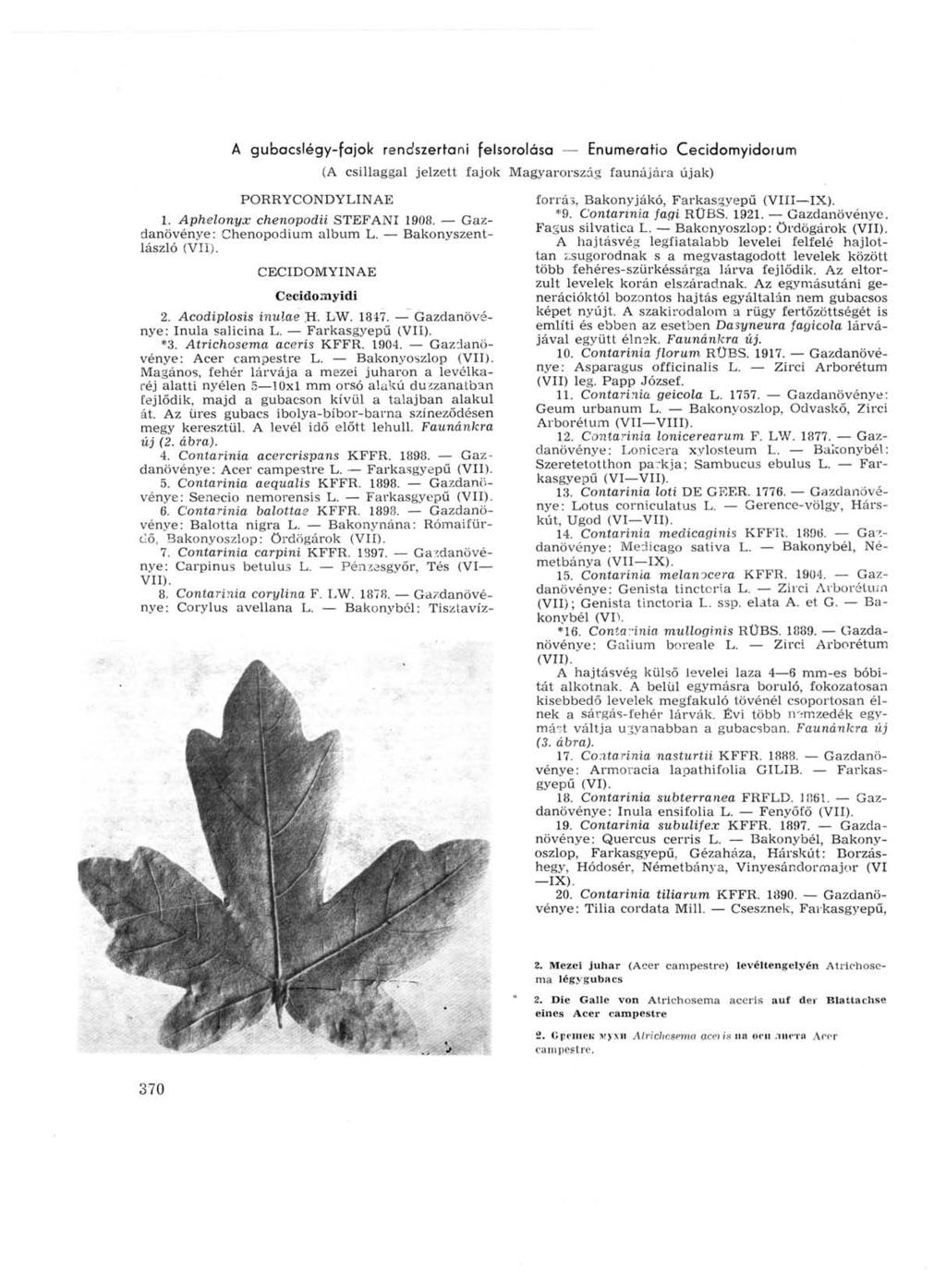 A gubacslégy-fajok rendszertani felsorolása Enumerario Cecidomyidorum (A csillaggal jelzett fajok Magyarország faunájára újak) PORRYCONDYLINAE 1. Aphelonyx chenopodii STEFANI 1908.