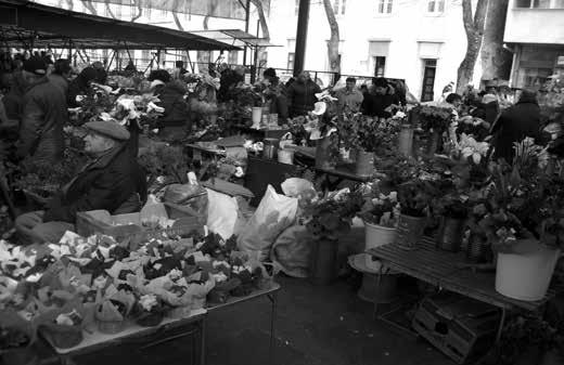 Paprika 300-350 din/kg Paradicsom 200 din/kg Paraj 140-150 din/kg Pasztinák 60-100 din/kg Petrezselyem 30-70 din/csomó Petrezselyem-zöldje 20 din/cs.