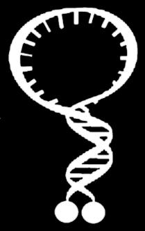A Telomerase-specific Doxorubicin-releasing Molecular