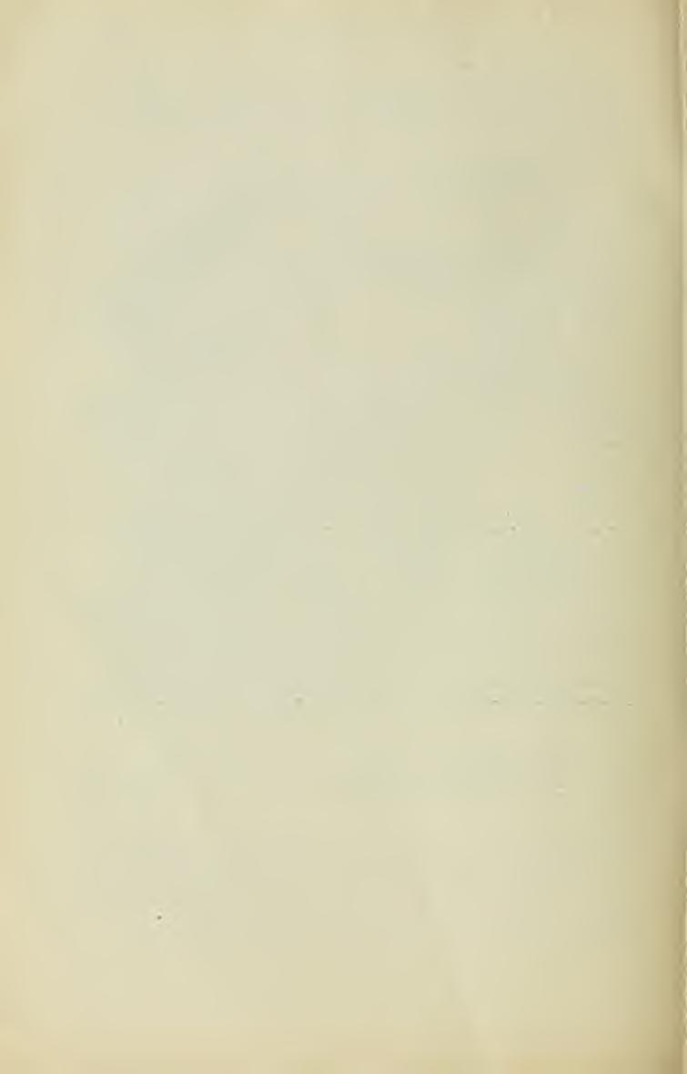 A Cheimatobia brumatáról. Irta ; Jablonowski József.
