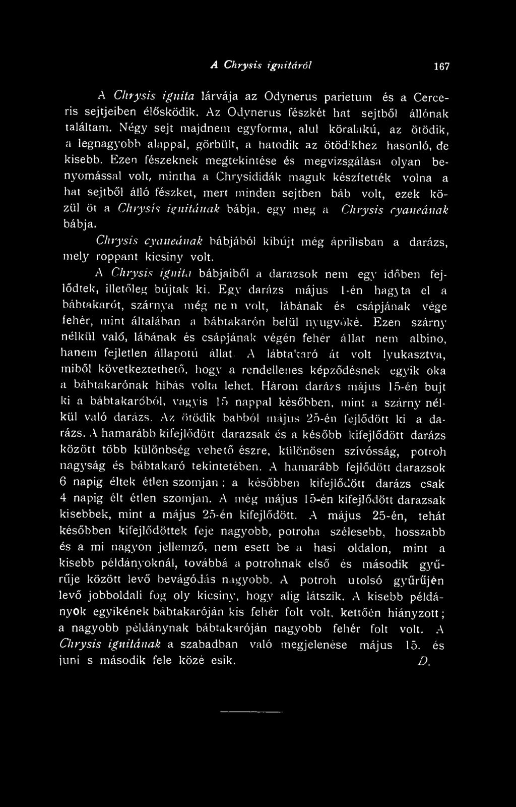 A Chrysis ignita bábjaibi a darazsok nem egy idben fejldtek, illetleg bújtak ki.