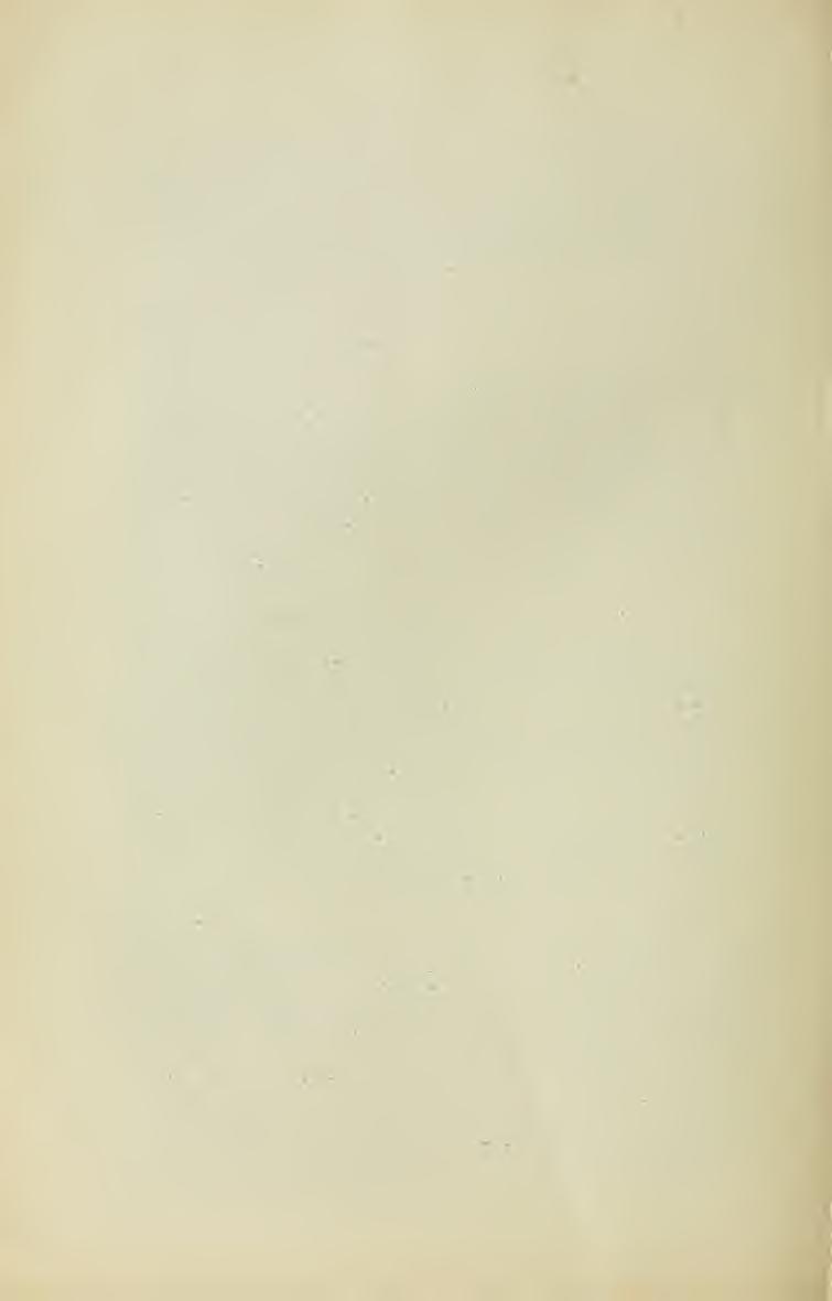 Eperjes környékének nappali lepkéi. Irta Dahlström Gyula. VIII. 10. Nemeobi US Lucina L. gy. V. 10 II. Apa túra Iris L. k. VII. 1. VI. 2. és VII. 2. VII. 30.