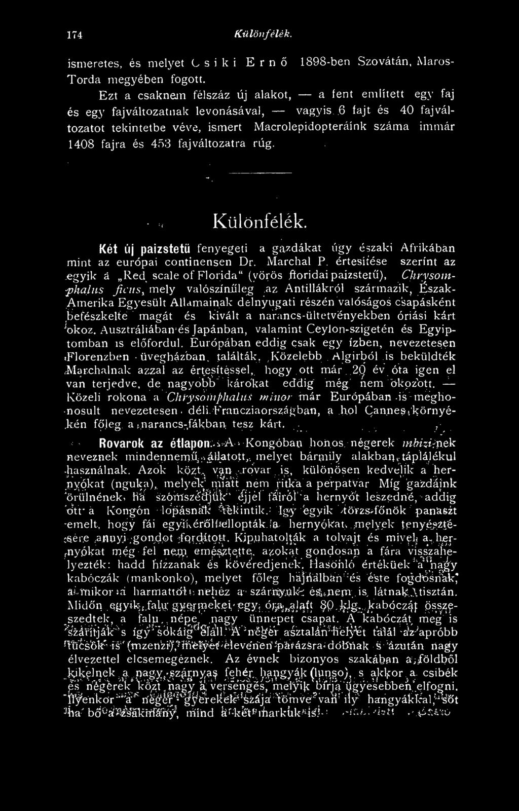 befészkelte magát és kivált a narancs-ültetvényekben óriási kárt okoz. Ausztráliában és Japánban, valamint Ceylon-szigetén és Egyiptomban IS elfordul.