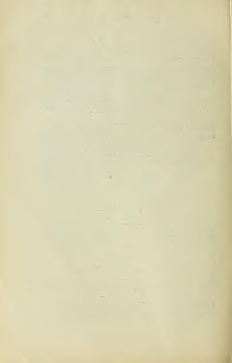 ) ' 158 Cstki Ern Fam. Locustidae, P o e c i 1 i m o n ornatus Schmidt {Fiaheri Fieb.) VUl. Drága, Buccari, Növi, Klaricevac, Kriviput, Vratnik, Susanj, Ostarije, Konjsko. (P.); P. elegáns Brun. VIU.