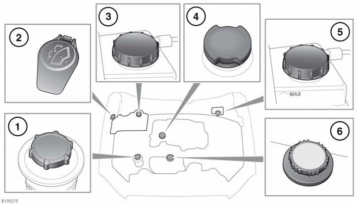 Folyadékszintellenőrzések Dízelmotor 1. Szervokormány. 2. Ablakmosó folyadék. 3. Fékfolyadék (jobbkormányos járművek). 4. Motorolaj. 5. Fékfolyadék (balkormányos járművek). 6. Hűtőfolyadék.