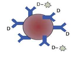 alapuló: IMMUNO-ASSAY