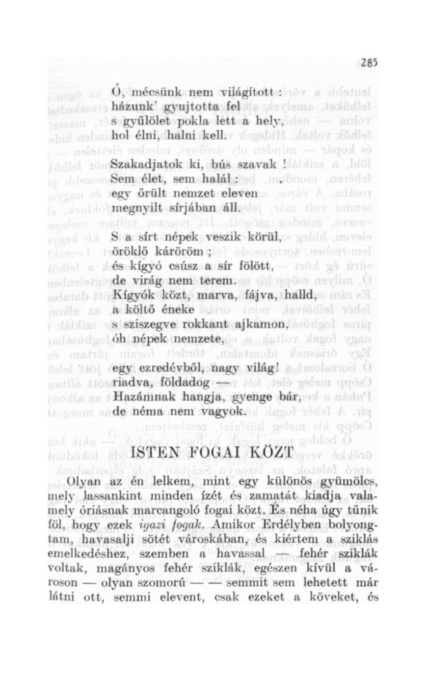 a végső orgia dalszöveg