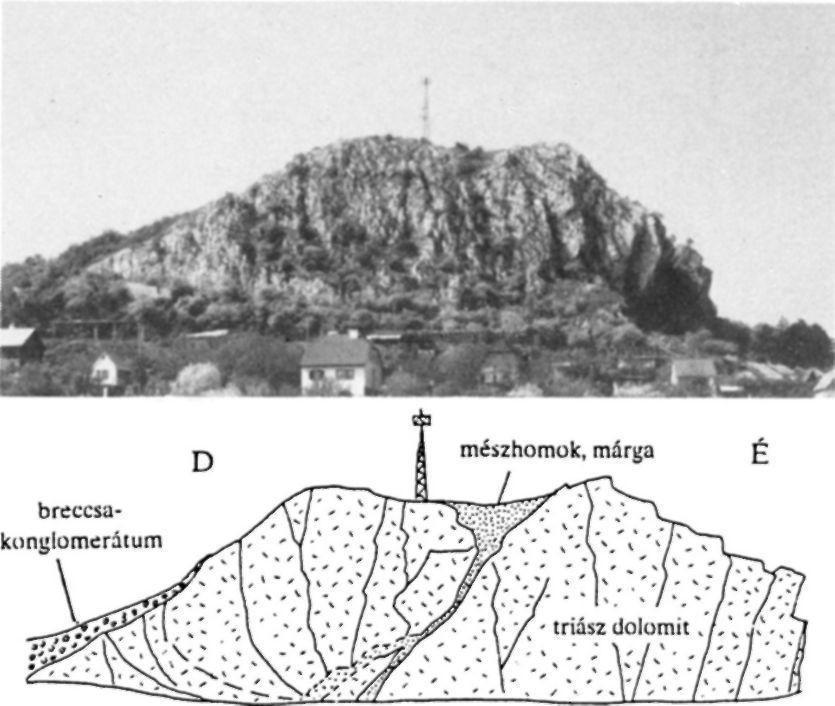 Felső-eocén konglomerátum-breccsa burok alól kibukkanó triász dolomit aljzat vetőlapja.