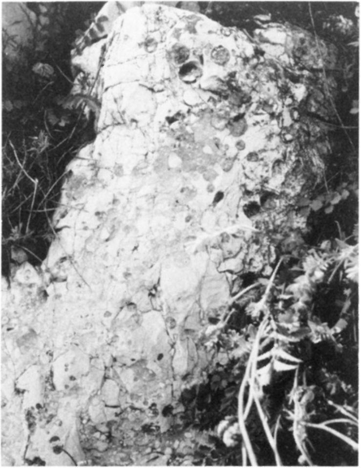 késő-eocén működését jelzik, Törökugrató 2 Fault plane of the Triassic dolomite basement cutting trough the Upper
