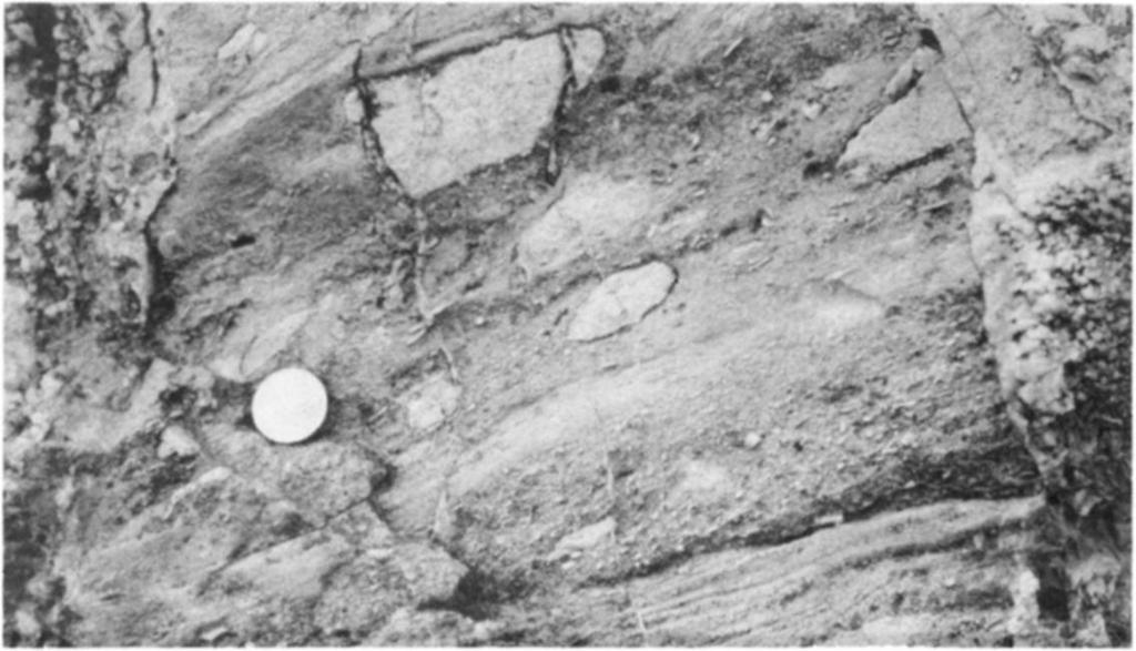 Upper Eocene limestone filled with Upper Eocene sandstone and biogenic limestone.