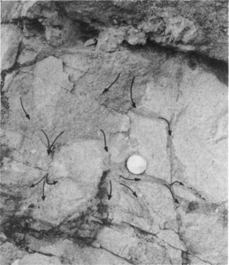 táblát is) az injekciós telérrendszerekre emlékeztet 1 Injection brecciation in Nummulitic limestone.