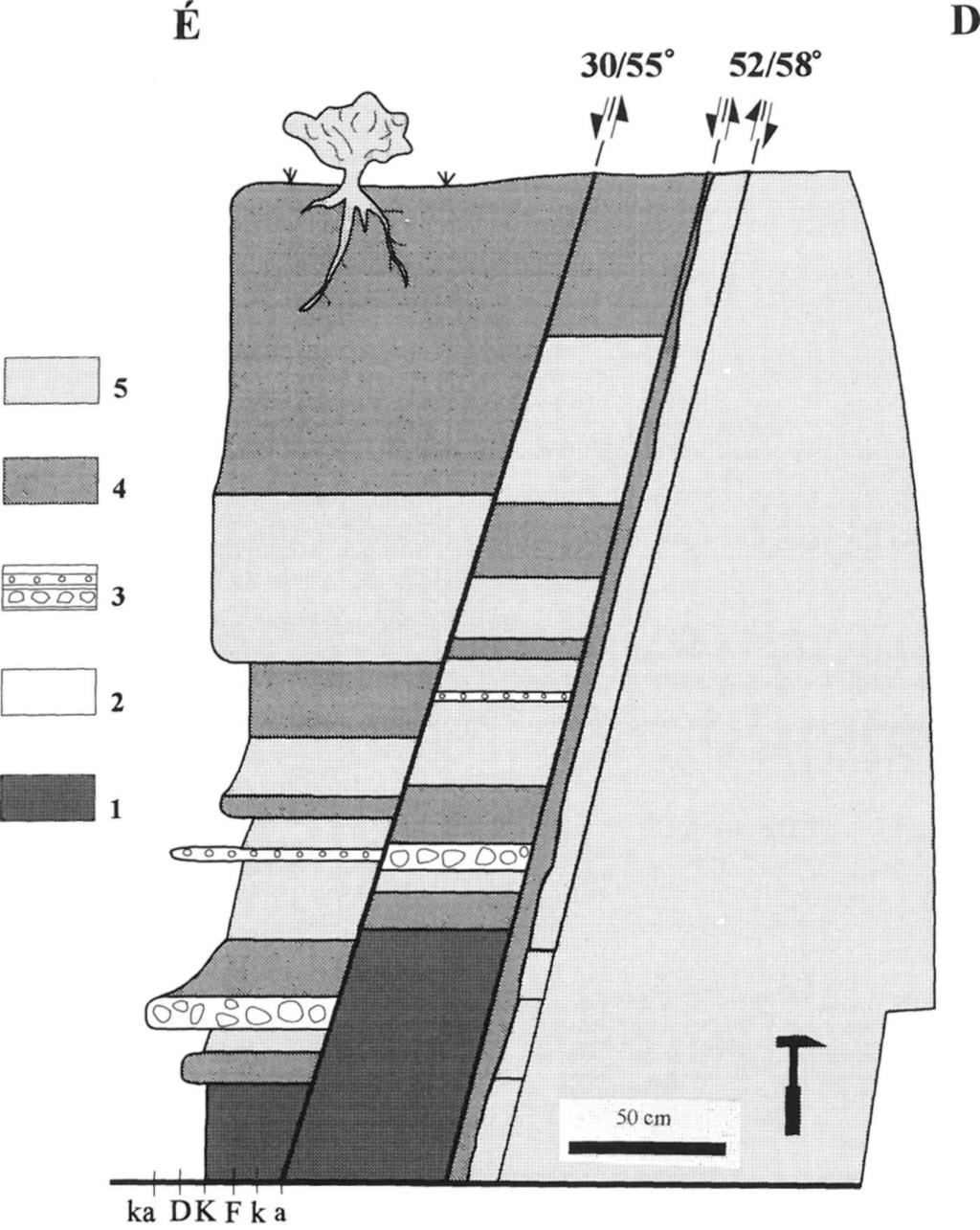 Fig. 6 Geological profilé of МП outcrop oriented N-S.