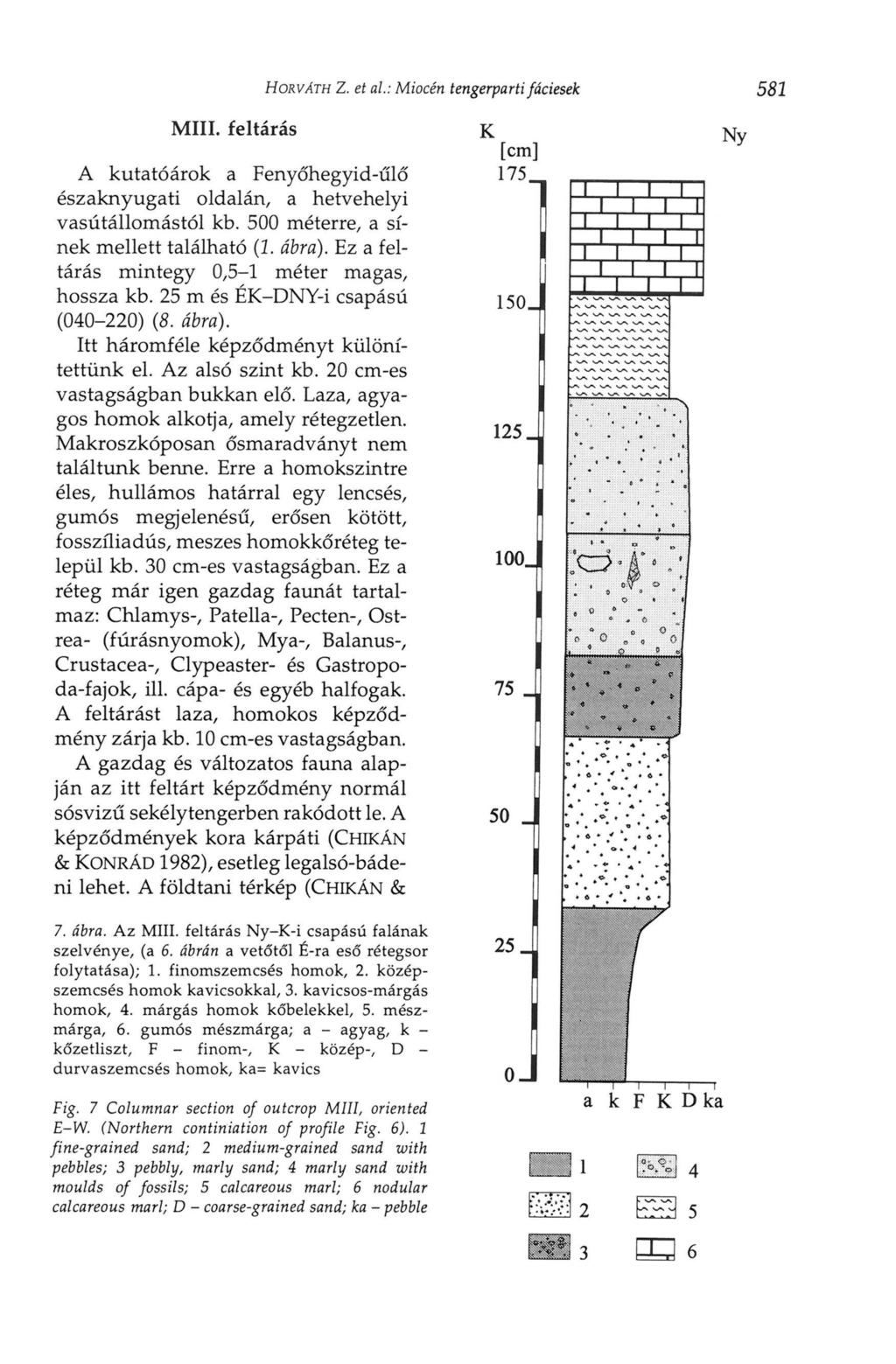 HORVÁTH Z. et ai: Miocén tengerparti fáciesek 581 MIII. feltárás A kutatóárok a Fenyőhegyid-űlő északnyugati oldalán, a hetvehelyi vasútállomástól kb. 500 méterre, a sínek mellett található (1. ábra).