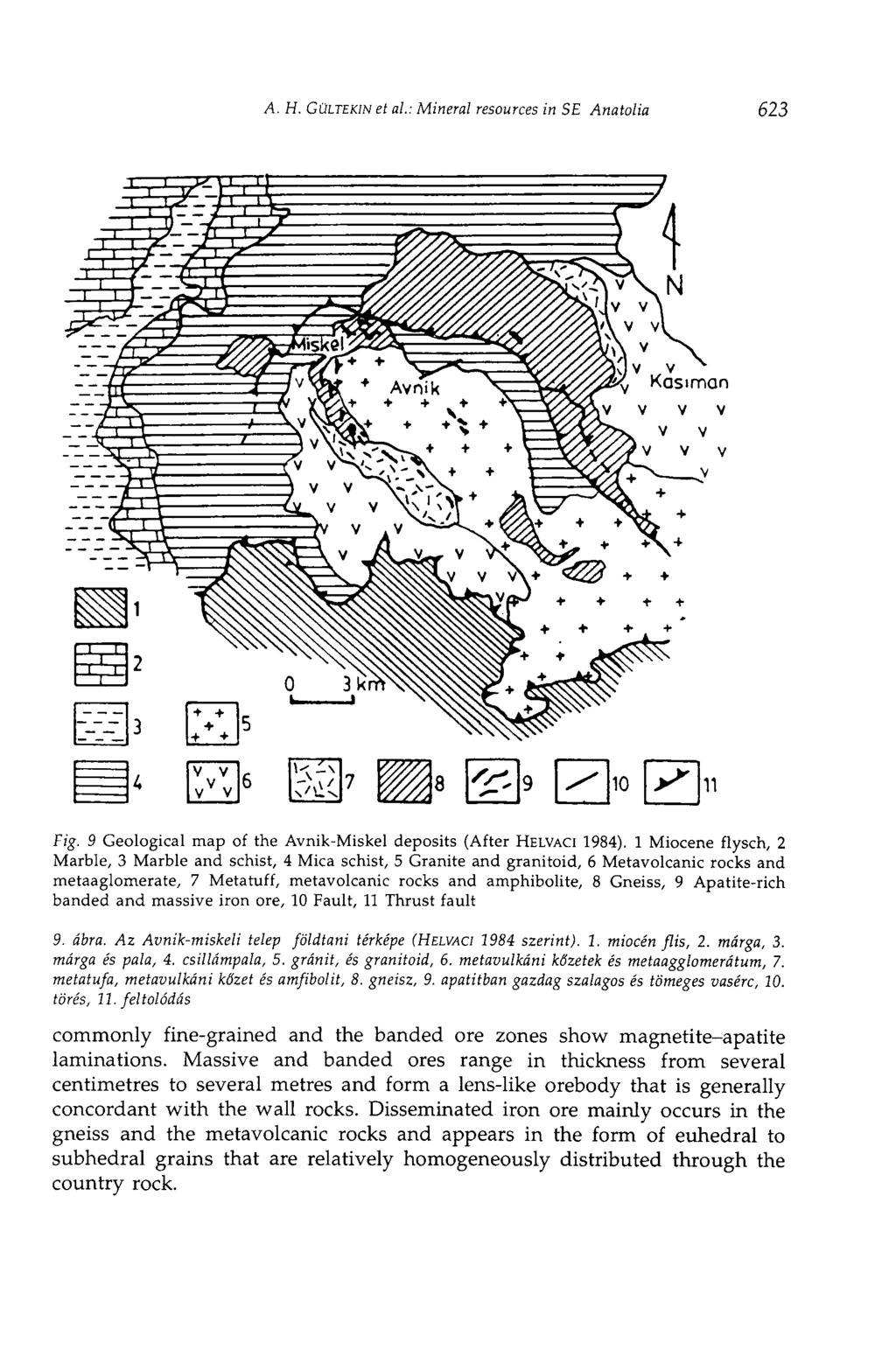 A. H. GÜLTEKIN et al.: Mineral resources in SE Anatolia 623 Fig. 9 Geological map of the Avnik-Miskel deposits (After HELVACI 1984).