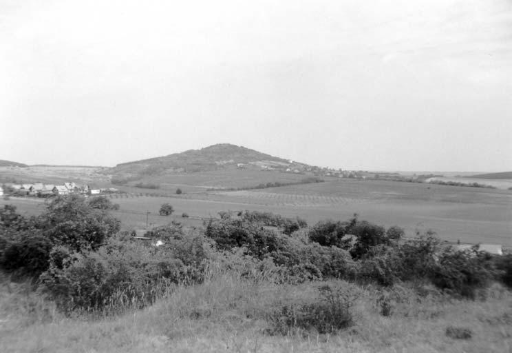 A polgárdi Szár-hegy ásványai (Bevezetés) 9 2. ábra. A polgárdi Szár-hegy látképe. Fotó: Fehér B. Fig. 2: View of the Szár Hill, Polgárdi. Photo: B.