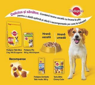 PRODUSE DISPONIBILE ÎN KAUFLAND PENTRU PĂRINŢI Iată câteva metode de a ajuta un copil agresat: Dacă vi se pare dificil să abordați subiectul, încercați să deschideți o discuție despre agresivitate la