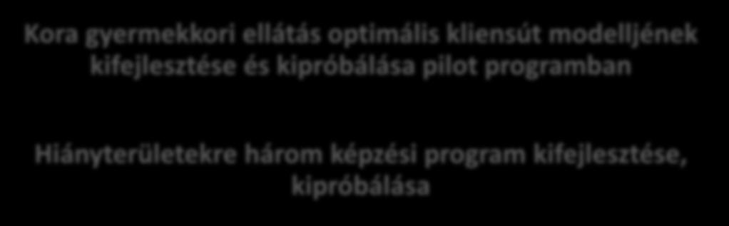 (diagnosztikai) protokollja 2) Interdiszciplináris team-munka protokollja 3) Családközpontú kommunikáció és tájékoztatási protokoll 4)