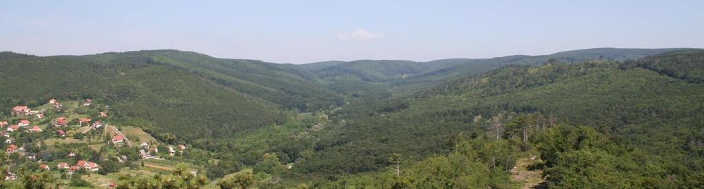 Balaton-felvidéki Nemzeti Park (1997) Részterületek Keszthelyi-hegység Az erdőtársulások közül kiemelkedő az országosan is ritka, különleges reliktum társulás, az elegyes karszterdő.