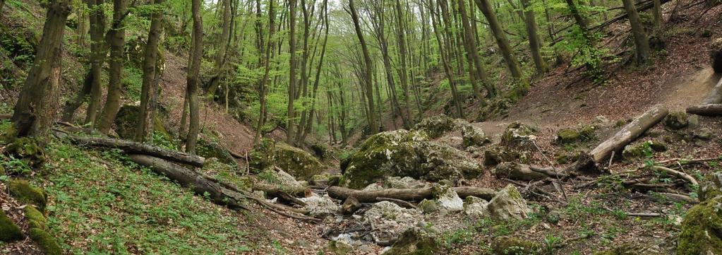 Duna-Ipoly Nemzeti Park (1997) Részterületek Pilis A Pilis jellemző erdőtársulásai a középhegységi bükkösök, gyertyánosés cseres-kocsánytalan