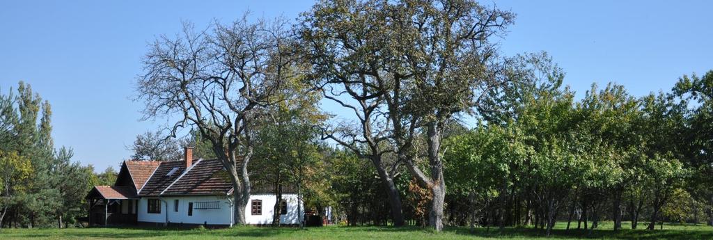 Őrségi Nemzeti Park (2002) Kultúrtörténeti értékek Település szerkezeti, építészeti hagyományok A domborzati viszonyok, a völgyekben összegyűlő sok csapadék, a védelmi célok mind