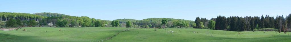 Alapfogalmak Élőhelyvédelmi irányelv Natura 2000 Kiemelt jelentőségű természetmegőrzési terület (SCI): olyan közösségi jelentőségű terület, amelyen legalább egy kiemelt közösségi jelentőségű faj