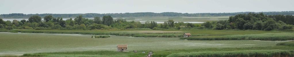 A Natura 2000 területek kihirdetése utáni feladatok A Natura 2000 terület fenntartási céljainak elérését nem veszélyeztető vagy nem sértő, és a Natura 2000 terület jelölésekor jogszerűen, jogerős