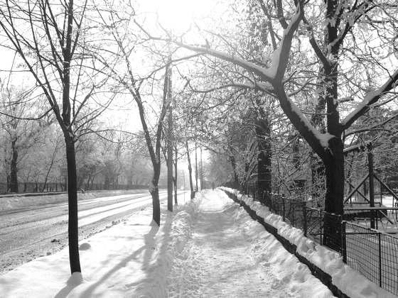 Z2010. február, XI. évfolyam S E L Í Z I H Í R M O N D Ó V á r o s i ú j s á g 93701@pobox.sk ára: 0,35 euró.