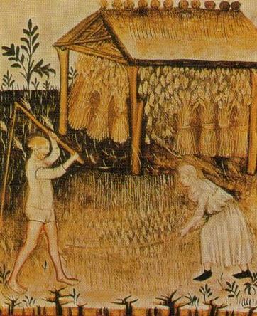 A TETŐHÉJAZAT ÉS A SZEMKINYERÉS ÖSSZEFÜGGÉSEI