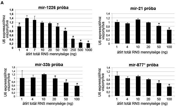 32. ábra. Érett mirns detektálása különböző mennyiségű átírt totál RNS mintából. A vizsgálatok során endogén kontrollnak az U6 snrns-t (A), vagy az endogén mir- 21 mirns-t (B) használtuk.