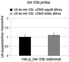 A továbbiakban a qrt-pcr méréseinkben mindig az U6- ot alkalmaztuk endogén kontrollként, a reverz transzkripciót 10 ng totál RNS templátból végeztük, és együtt írtuk át cdns-sé a kontrollt a cél